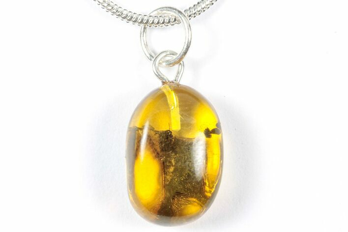 Polished Baltic Amber Pendant (Necklace) - Contains Fly! #357984